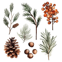 Scandinavian Christmas Watercolor Elements, without background in PDF format
