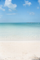 Fototapeta na wymiar Beautiful clear and clear blue Caribbean sea water in vertical