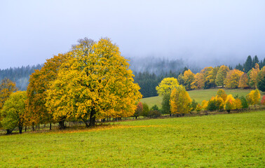 Jeseníky, autumn, water, mountains, forest, trees, landscape, autumn, river, water, forest, fall, nature, waterfall, tree, landscape, trees, rocks, green, beautiful, rock, season, colorful
