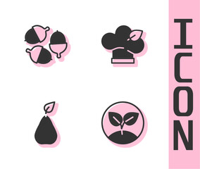 Set Sprout, Acorn, Pear and Vegan food diet icon. Vector