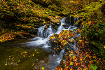 Fototapeta na wymiar Vodopády Jeseníků, Jeseníky waterfalls, autumn, water, mountains, forest, trees, landscape,