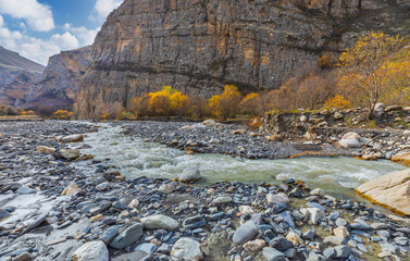 Stormy mountain river in autumn