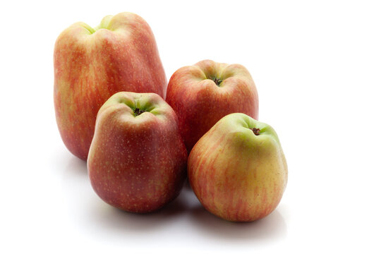 Whole apples of different sizes are placed separately on a white background.