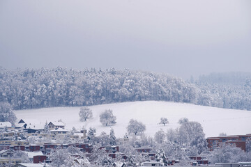 Fototapeta na wymiar Snow-covered roofs in the winter season in a Swiss village Urdorf in Kanton Zurich. In background is field and forest with coniferous trees and overcast sky.
