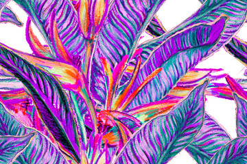 Bird of Paradise Seamless Pattern for Swimwear. Purple and Magenta Bird-of-Paradise Spring-Summer Tile Strelitzia Feminine Exotic Design.  Tropical Leaf Background. Large Polynesia Floral Print. - obrazy, fototapety, plakaty