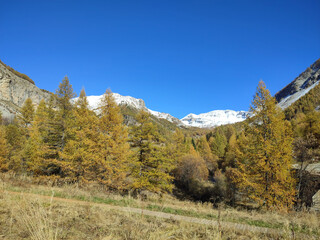 Paysage de montagne à l'automne avec un léger manteau de neige dans les Alpes du Sud en France