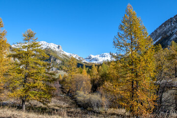 Paysage de montagne avec de la neige à l'automne en montagne dans les Alpes du Sud en France