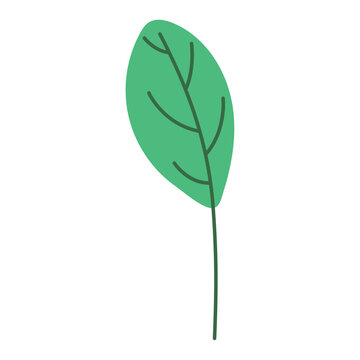 Isolated colored leaf sketch icon Vector