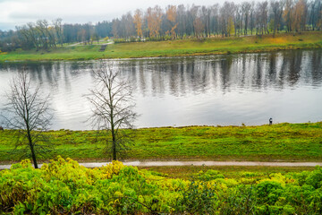 landscape with lake and trees