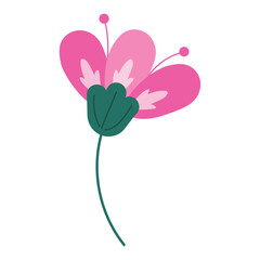 Isolated colored cute flower icon Vector