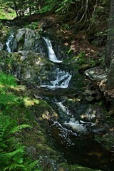 Naklejka na ściany i meble Czechia-view of Cernohorsky creek from Luisina path in Giant Mountains