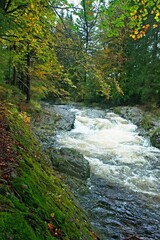 Czechia - view of the rapids on the river Elbe near the town of Spindleruv Mlyn