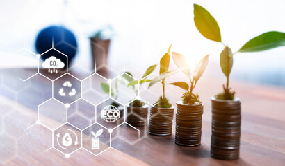 Growing young tree seedling planted on top of coin stack with ESG business investment with...