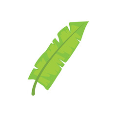 Isolated colored tropical leaf sketch icon Vector