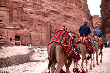 Tourists riding camels ride along the Siq Canyon and explore the attractions of the city of Petra,...
