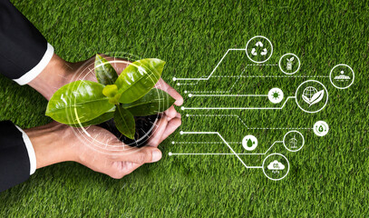 Businessman holding green plant with eco digital design icon symbolize environmental friendly...