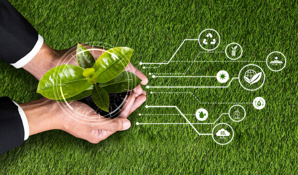 Businessman holding green plant with eco digital design icon symbolize environmental friendly business with ESG commitment to reduce carbon emission by using clean and sustainable energy. Reliance