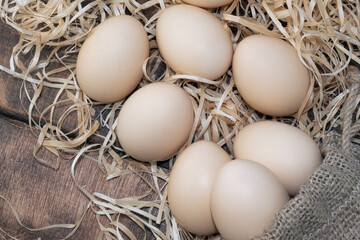 Raw Organic Eggs. Eggs can give we protein A Close-Up Perspective. 