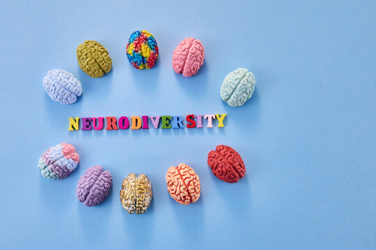 Neurodiversity concept. Multicolored figures of the brain