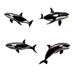 Obraz premium Set of Killer Whale