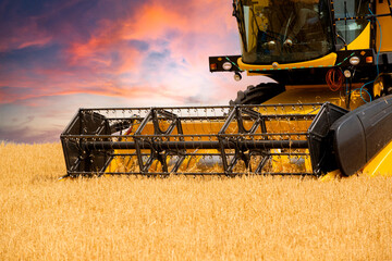 The wheat that comes at harvest time is collected with a combine harvester.
