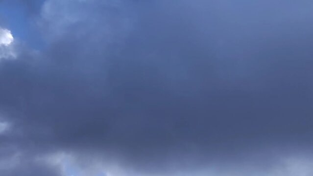 Flock of birds pass by the dark cloud