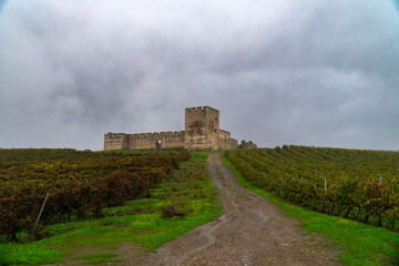 Fototapeta na wymiar Captivating abandoned castle nestled among Alentejo vineyards on a serene autumn afternoon. A glimpse into the region's rich history and rustic charm.