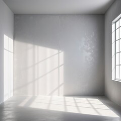 Beautiful blank room wall with sunlight coming through windows