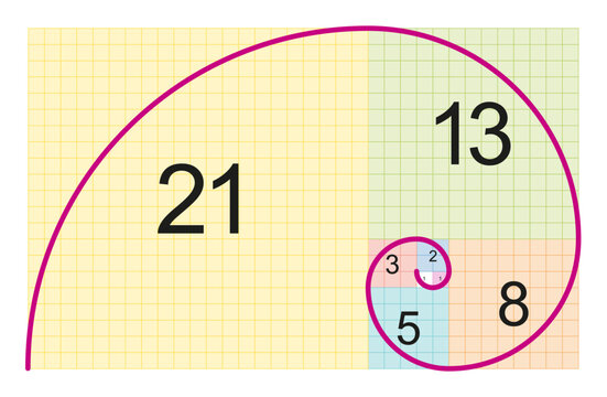 Fibonacci spiral and approximation of the golden spiral. Circular arcs connecting the opposite corners of squares in the tiling with squares, whose side lengths are successive Fibonacci numbers.