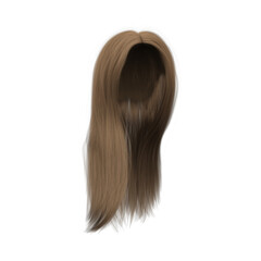 3d rendering straight medium brown long hair isolated