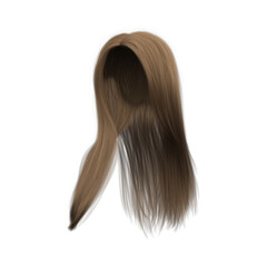 Naklejka premium 3d rendering straight medium brown long hair isolated