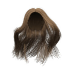 Fototapeta premium 3d rendering straight medium brown long hair isolated