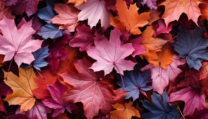 Naklejka na ściany i meble Enchanting and captivating autumn landscape with vibrant fall leaves adorned in mesmerizing hues