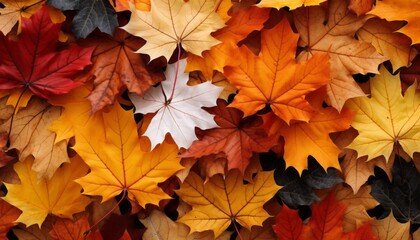 Naklejka na ściany i meble Enchanting fall foliage a captivating backdrop of mesmerizing autumn leaves in vibrant hues