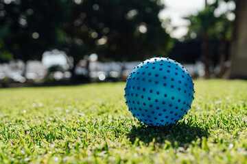 Blue rubber ball on green grass.