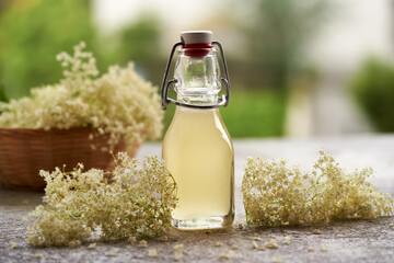 A bottle of elderberry flower syrup with fresh blossoms in spring
