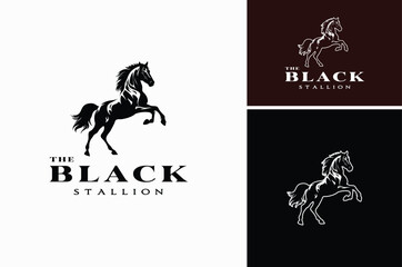 Black Rearing Hind Legs Wild Horse Equine Stallion Silhouette for Animal Wildlife or Stable Barn Ranch Farm Logo Design