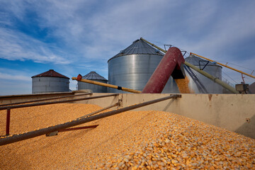 The corn harvest transported from the field to grain silos for long term storage. © photogrfx