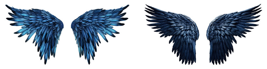 blue angel wings isolated on transparent background.blue wings.
