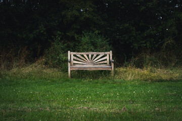 bench in the forest