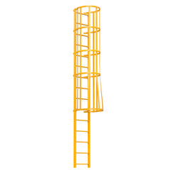 3D rendering illustration of a ladder with a safety cage