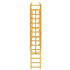 3D rendering illustration of a ladder with a safety cage
