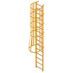 3D rendering illustration of a ladder with a safety cage