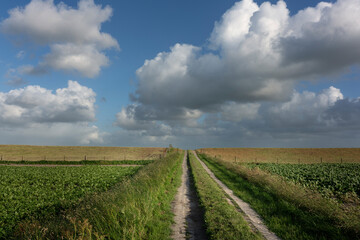 Fields behind the inner dike in the Groningen polder near Uithuizen.
