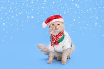 Cat Santa Claus. Close-up portrait of a cute red cat wearing Santa Claus xmas red cap on a blue background. Santa's helper. Merry Christmas. Greeting card Happy New Year. Ginger Cat. Snowflake. Snow