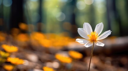 A single white flower in the middle of a forest, AI - Powered by Adobe
