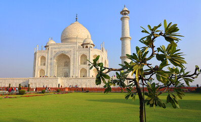 Naklejka premium The Taj Mahal at sunrise is an ivory-white marble mausoleum on the right bank of the river Yamuna in Agra 