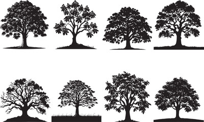 Chestnut Tree Silhouettes EPS  Vector  Chestnut Clipart  Amazing Chestnut Tree Collection