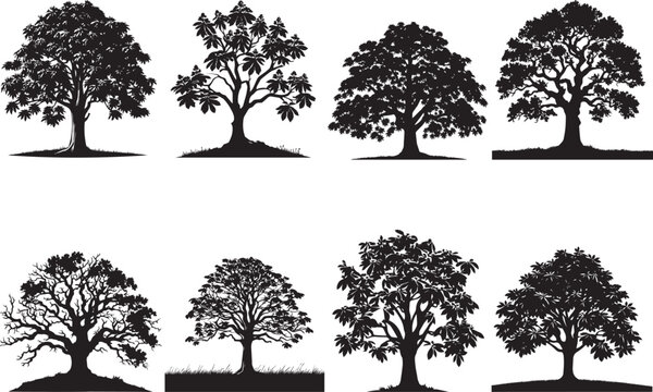 Chestnut Tree Silhouettes EPS  Vector  Chestnut Clipart  Amazing Chestnut Tree Collection