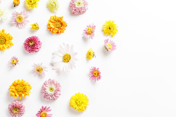 Obraz premium Beautiful flower composition from different field flowers. Flower card.